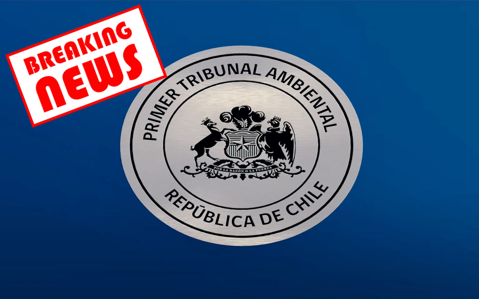 The Court for Environmental Issues approves the action for annulment of the positive assessment of the Dominga Project 