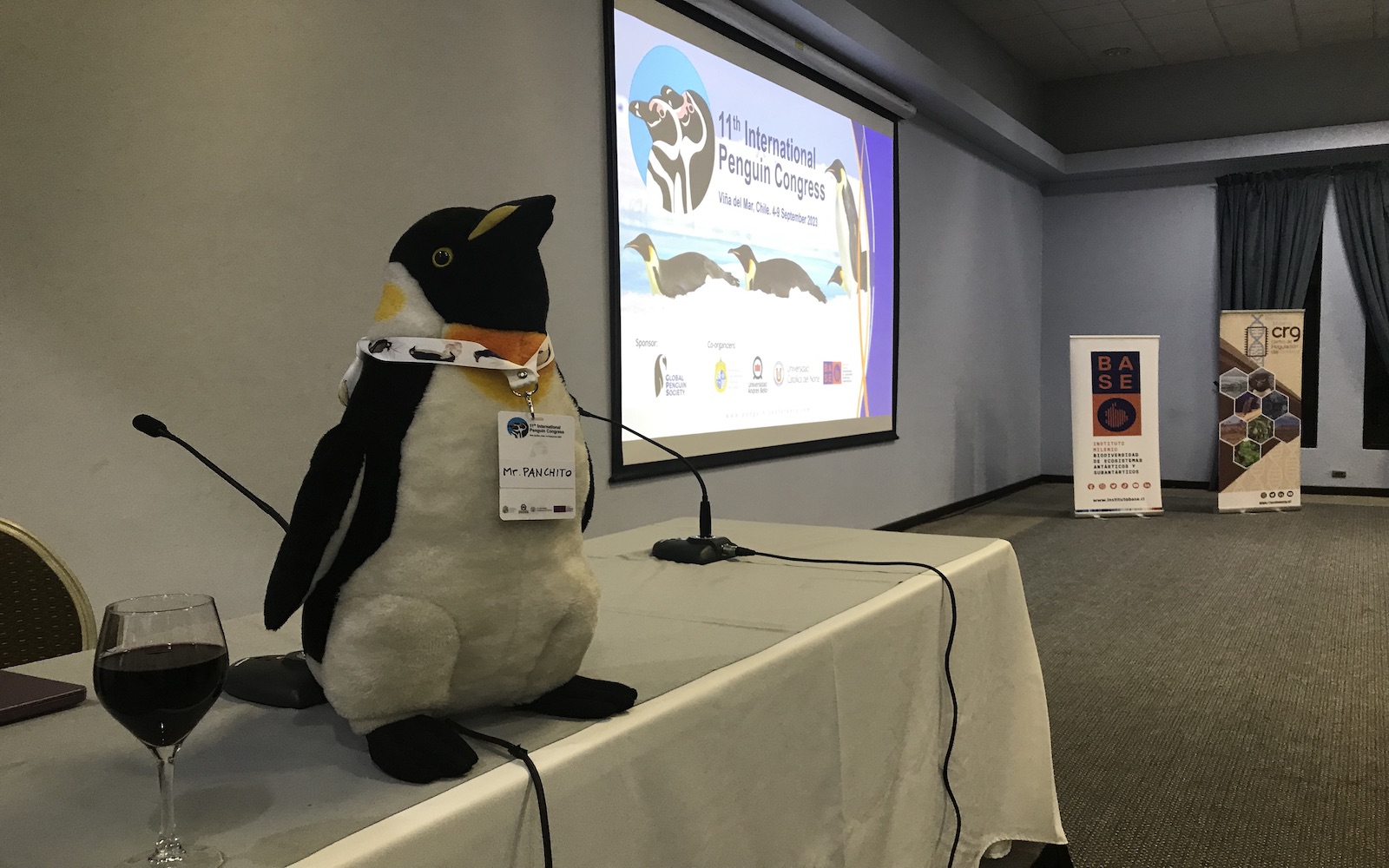 11º Congreso Internacional de Pingüinos