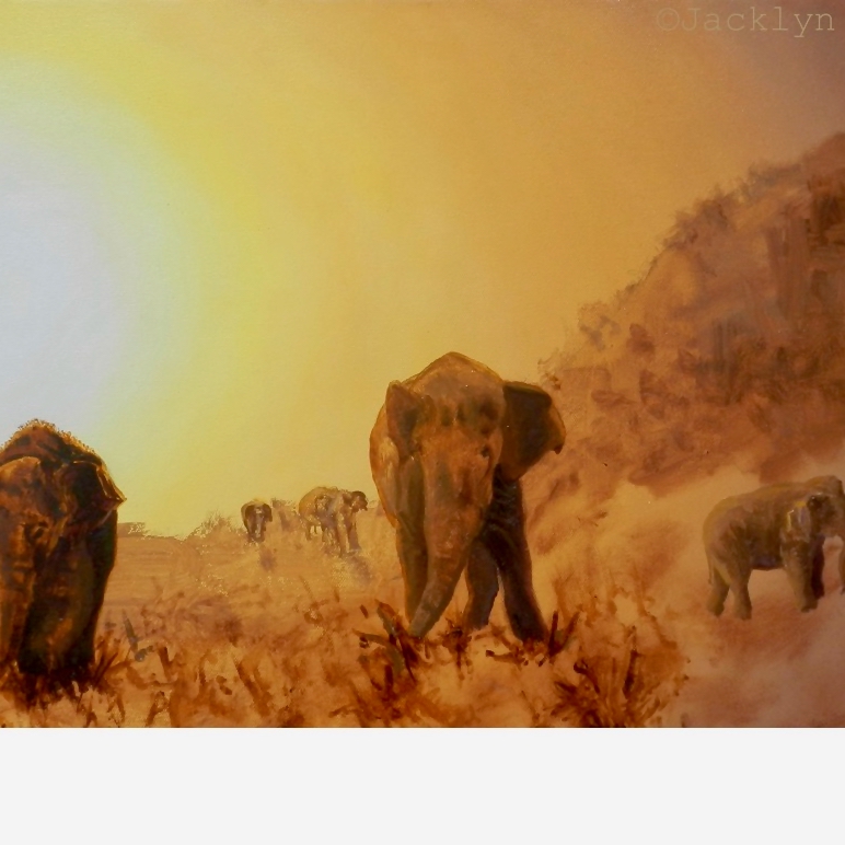 02a_elephant-ambiance_quad