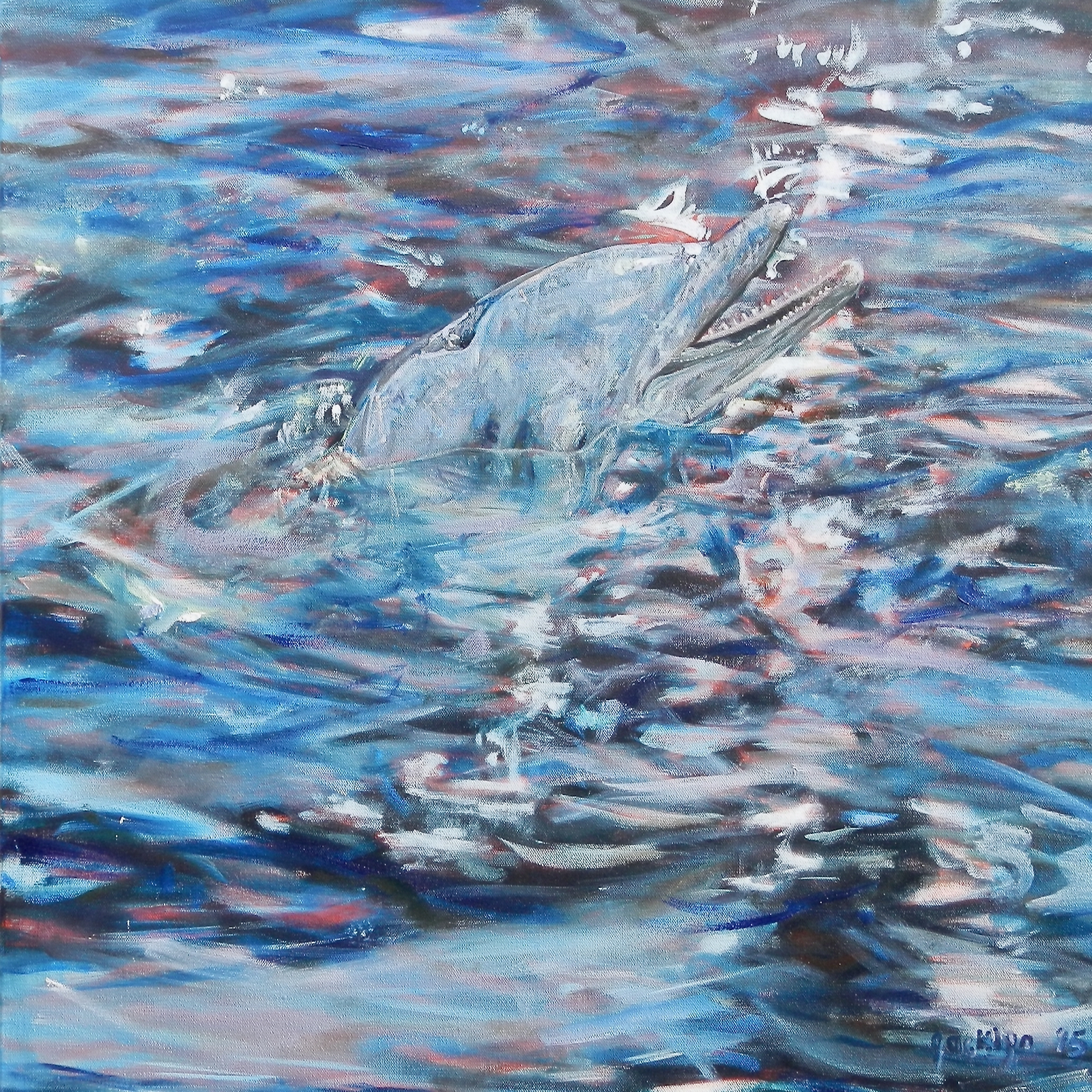 04a_Delphin_quad