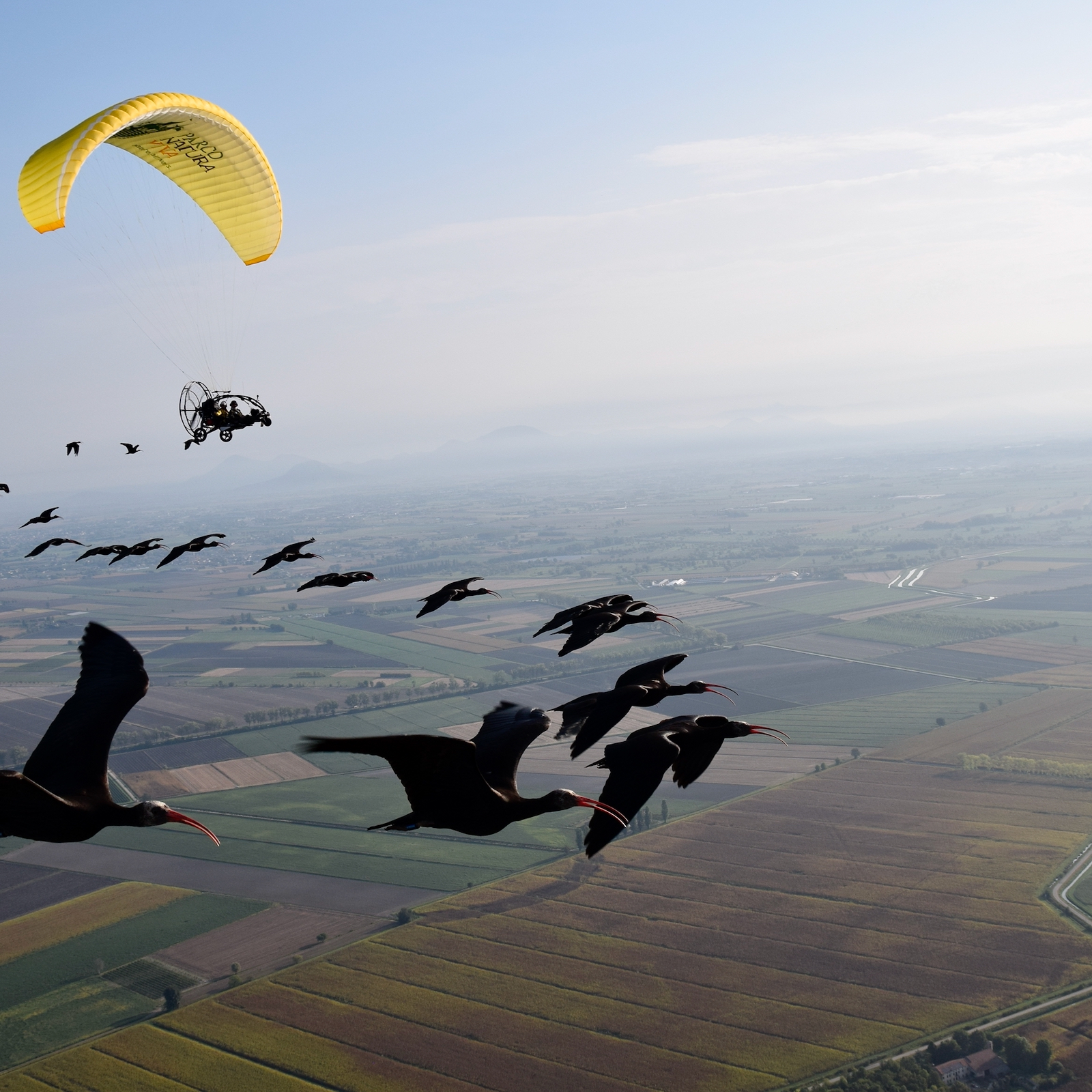5_Lisa_quad
