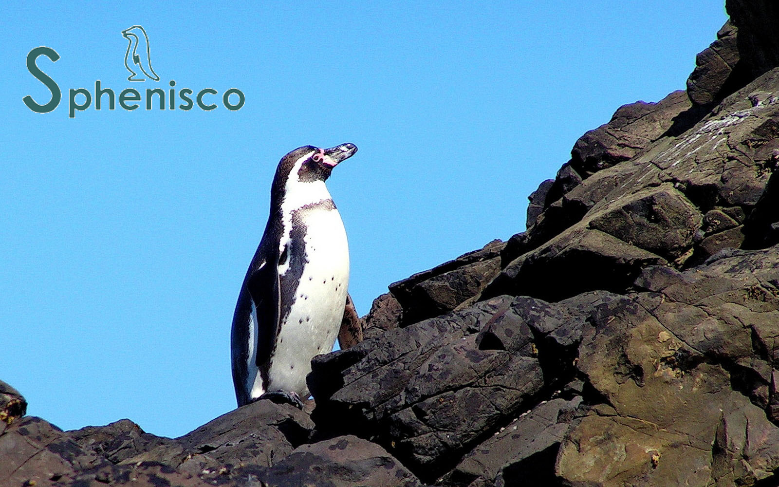 Newsletter+++February/March 2026+++