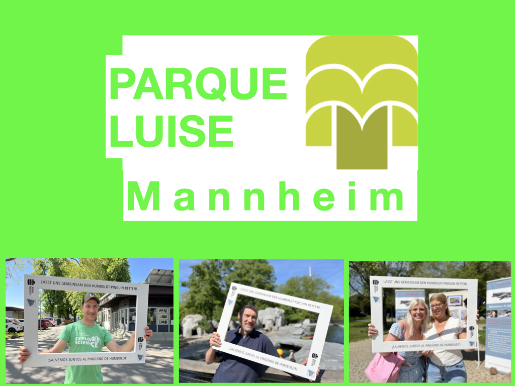 Mannheim_fin.001