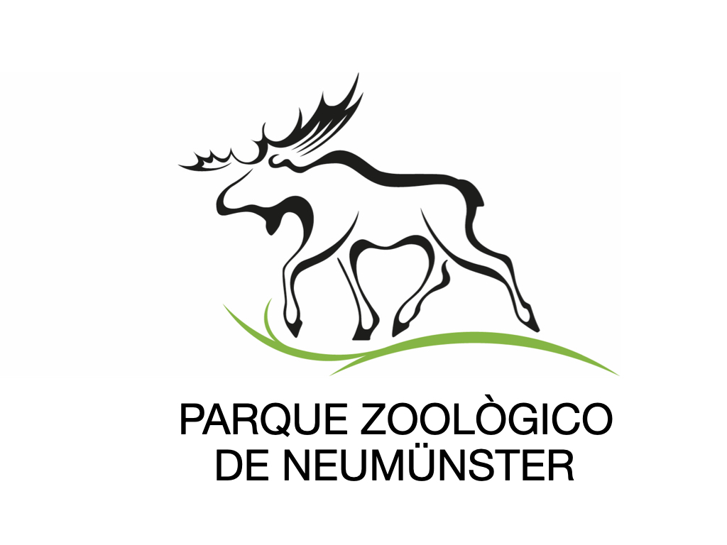 Neumunster_fin.001